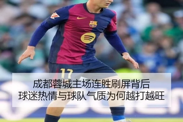 成都蓉城主场连胜刷屏背后 球迷热情与球队气质为何越打越旺